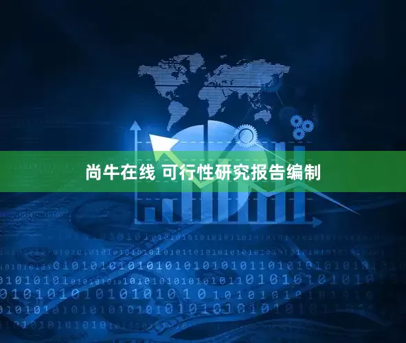 尚牛在线 可行性研究报告编制