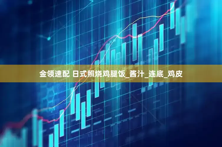 金领速配 日式照烧鸡腿饭_酱汁_连底_鸡皮