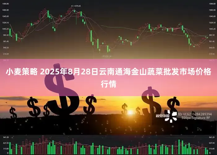 小麦策略 2025年8月28日云南通海金山蔬菜批发市场价格行情
