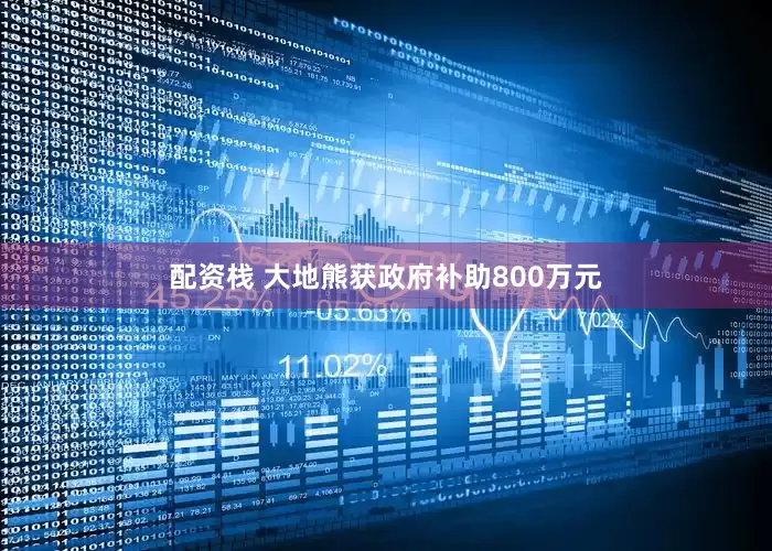 配资栈 大地熊获政府补助800万元